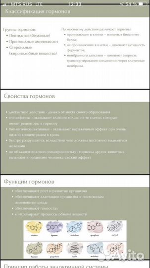 Создание презентаций, плакатов, логотипов
