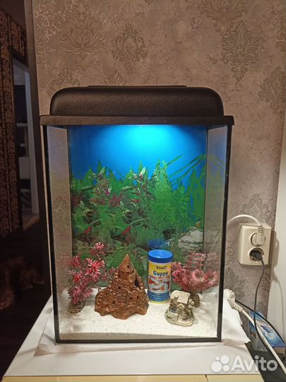 Аквариум
