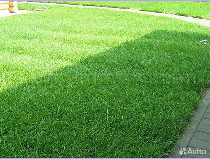 Рулонный газон с укладкой спортивный