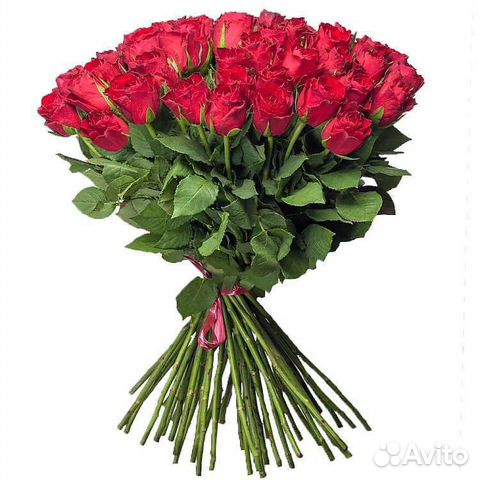 Цветы 51 роза