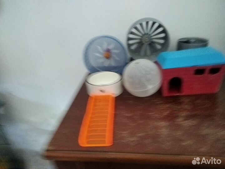 Клетки, корм, домики, прогулочный шар для хомячков