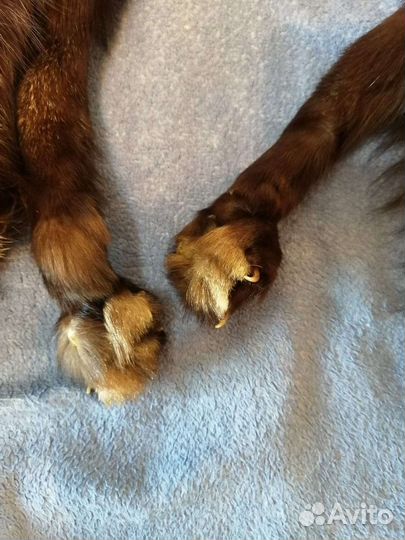 Воротник большой лисы чернобурки