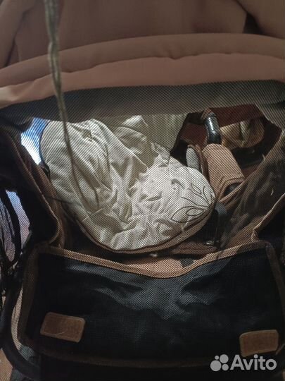 Коляска capella