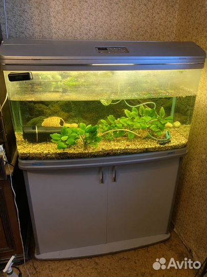 Аквариум 240 литров