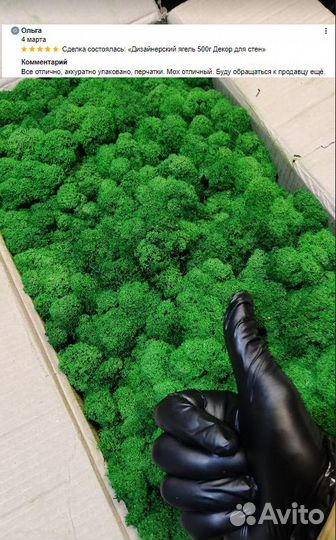 Стабилизированный мох для декора стен и помещений