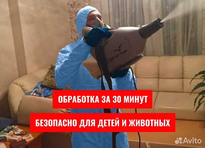 Уничтожение клопов, Травля тараканов, Дезинфекция