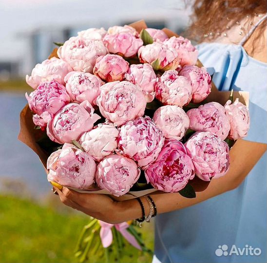 Пионы Букеты Цветы Доставка