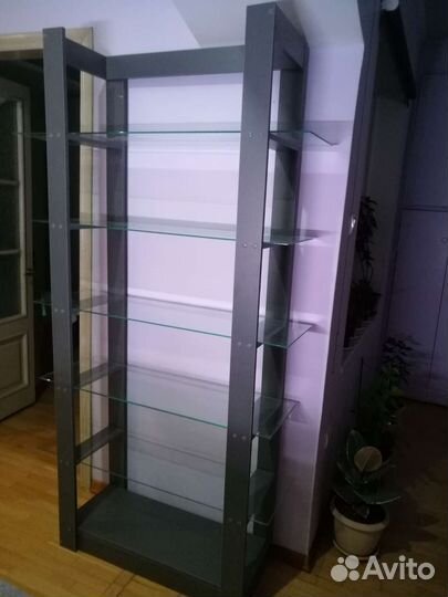 Пеларгония герань. Новый стеллаж для цветов