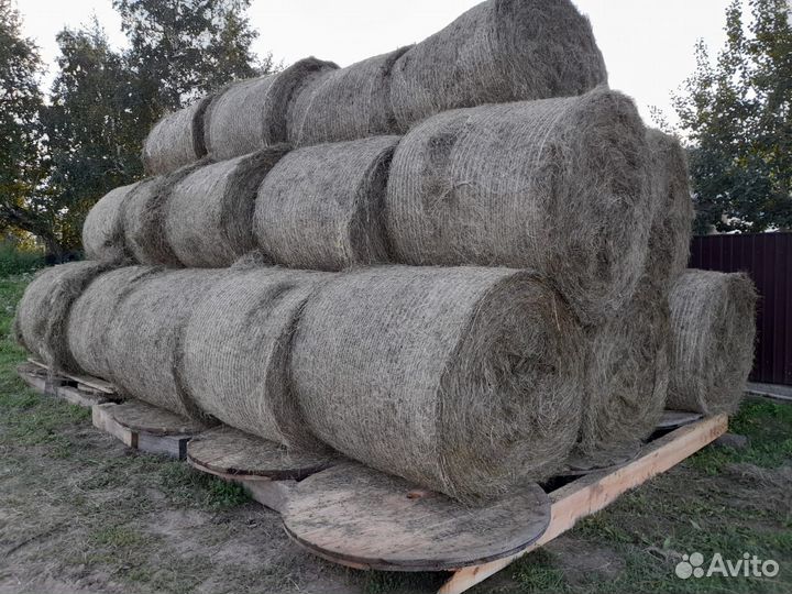 Сено в тюках