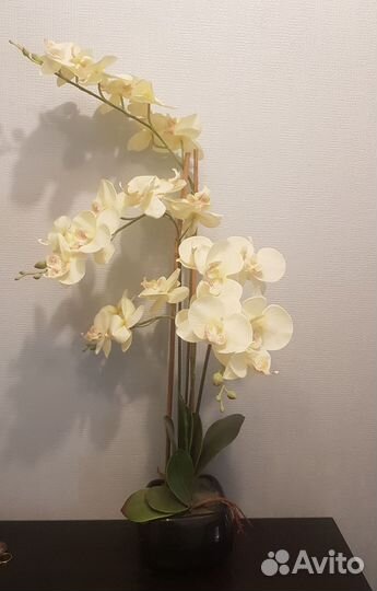 Цветы декоративные Engard Орхидея в кашпо 13х13х67