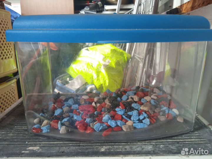 Аквариум-переноска с камешками для рыб