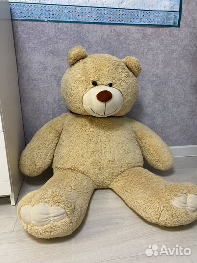 Большие плюшевые медведи