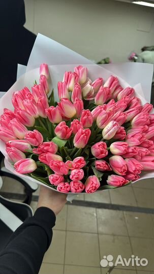 Тюльпаны/ букеты тюльпан