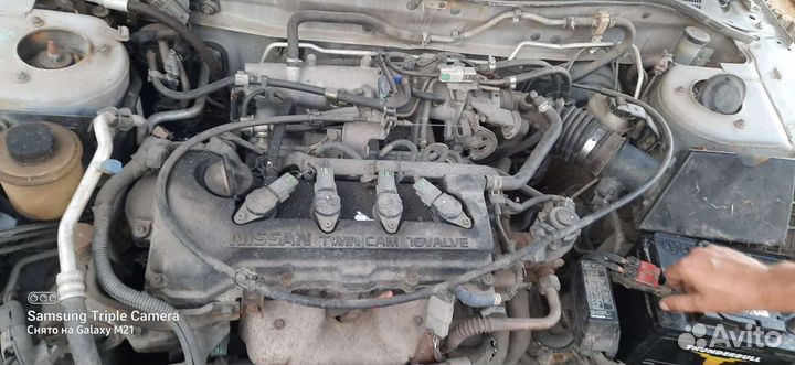 Nissan primera р11