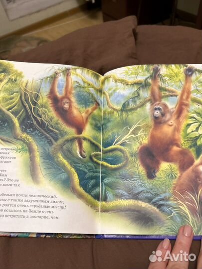 Книга для детей