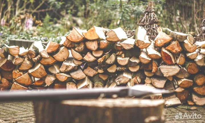 Дрова березовые