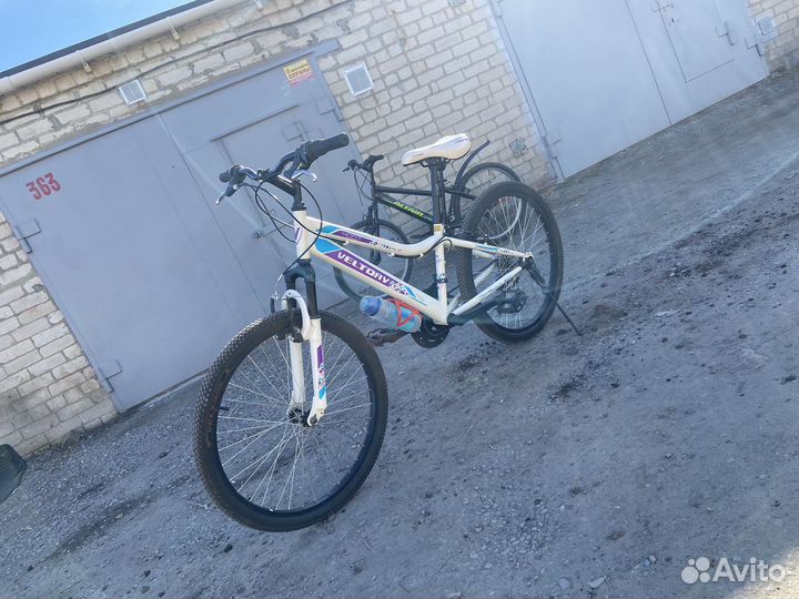 Два скоростных велосипеда 24