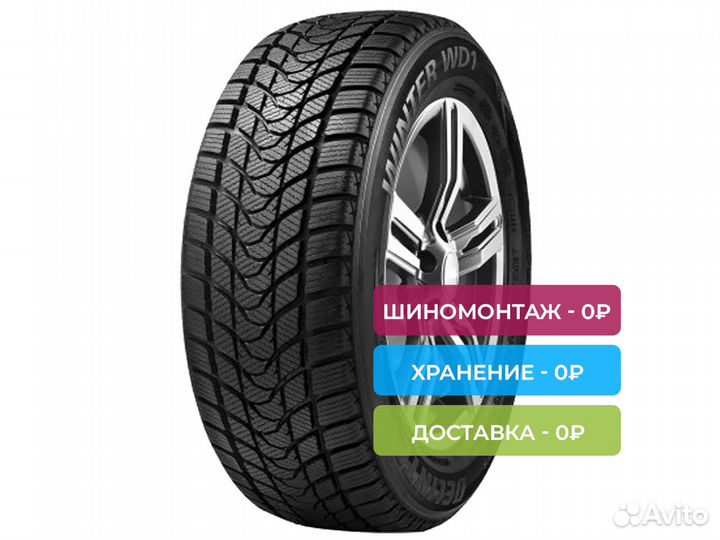 Delinte Winter WD1 225/45 R17 94V