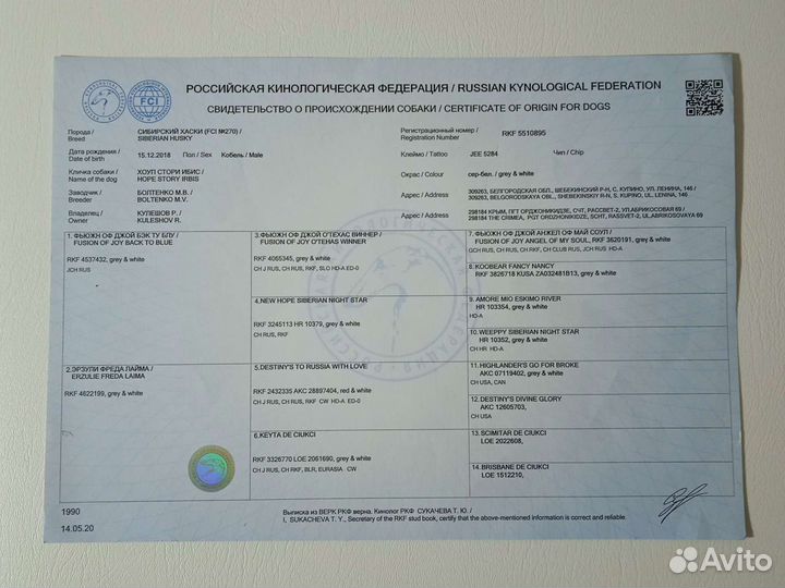 Вязка сибирский хаски