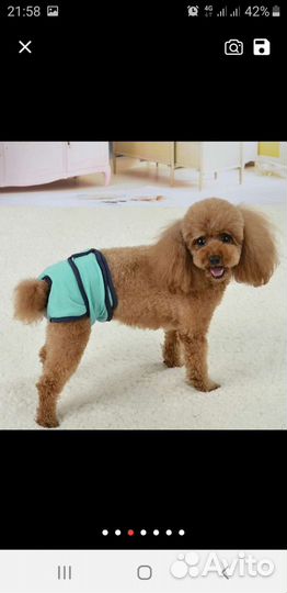 Штанишки для животных в критические дни