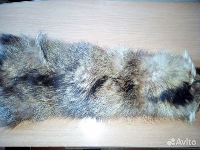 Шкура енота