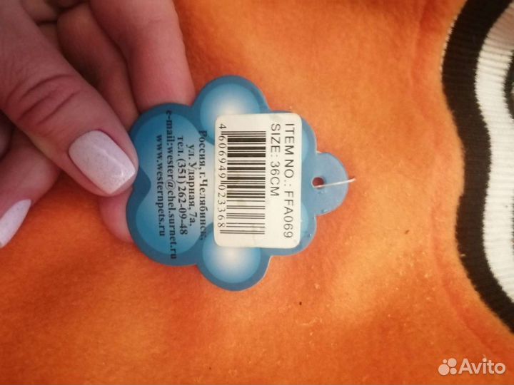 Костюмчик для собаки