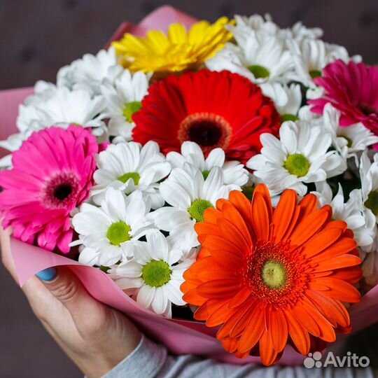 Герберы букет с доставкой