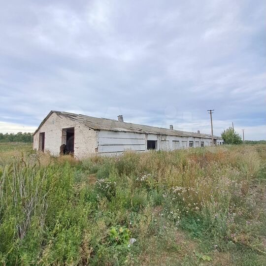 Ферма 3900 м² + каркас 1500 м²