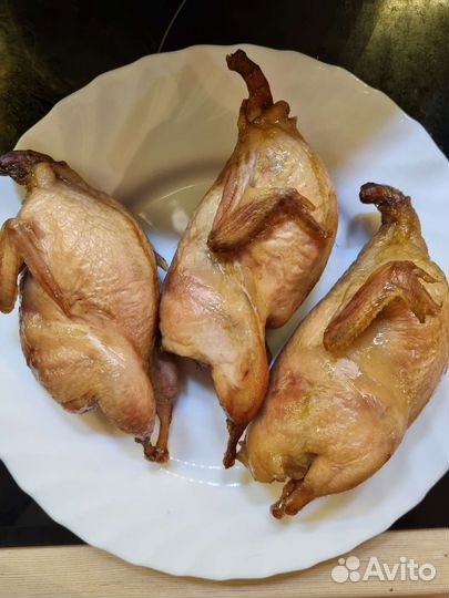 Перепелки. Яйцо, мясо. Инкубационное яйцо