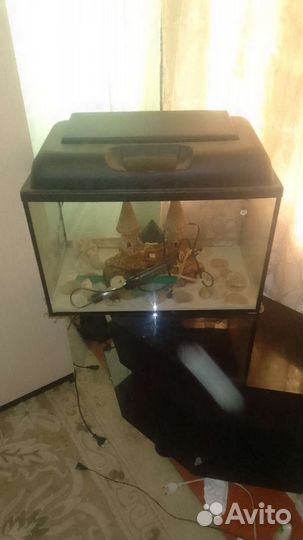 Аквариум