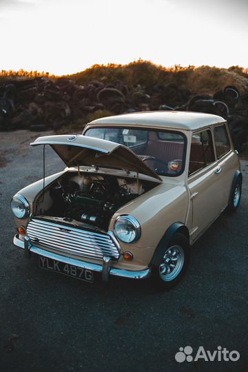 Автоэлектрик с выездом с 11 до 56619