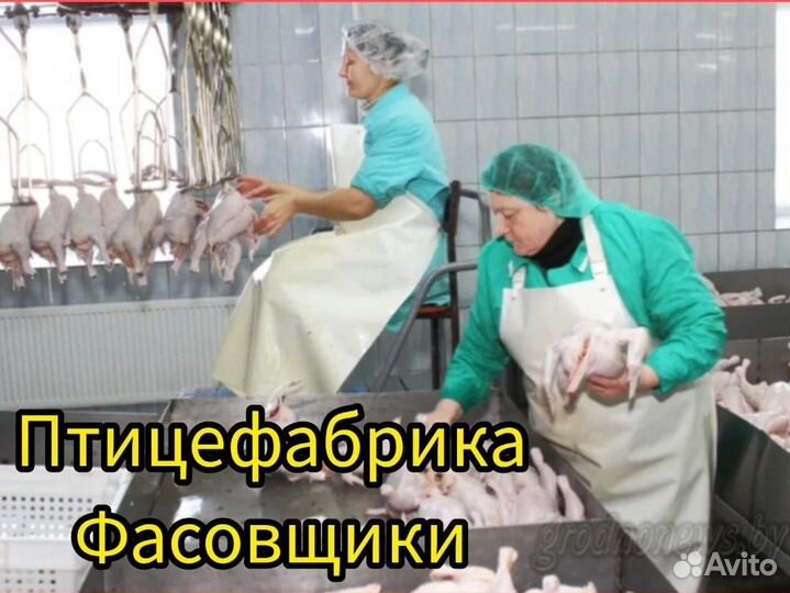 Сортировщик, фасовщик