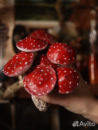 Грибы из полимерной глины