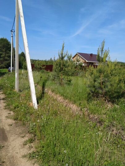 Участок 10,6 сот. (СНТ, ДНП)