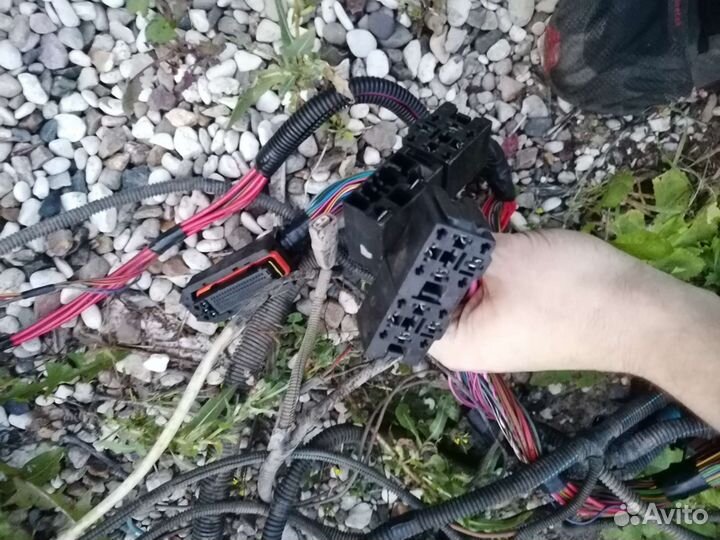 Жгут проводов эбу ваз kalina