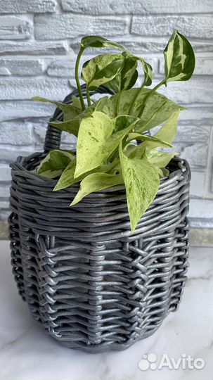 Подвесная корзина