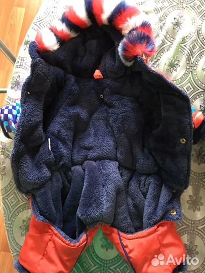 Одежда для собаки