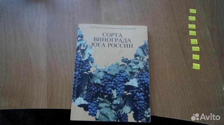 Сорта винограда юга России 2001 год