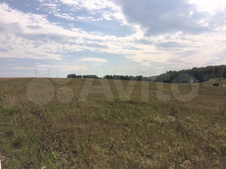 Участок 6 га (СНТ, ДНП)