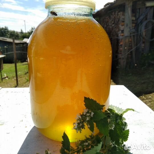 Мед оптом. В розницу