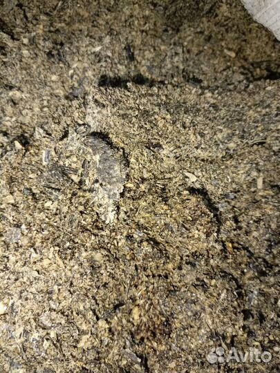 Жмых подсолнечный