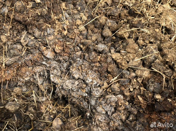 Отборный конский навоз с доставкой