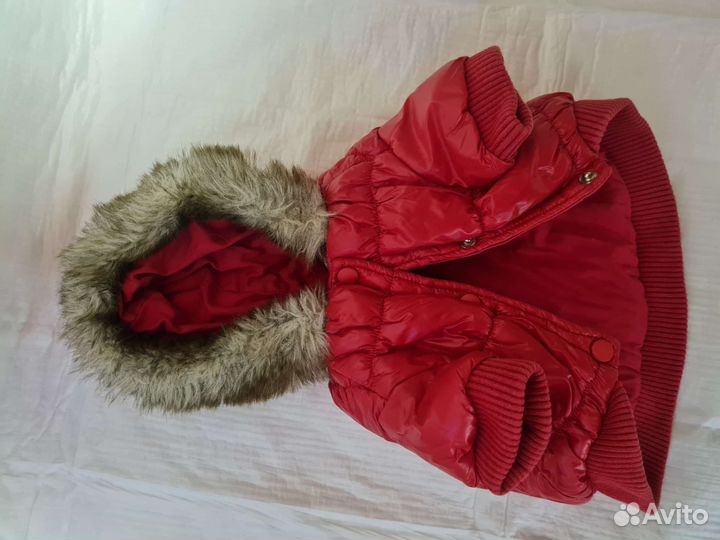 Одежда для маленьких собак