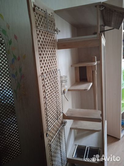 Витрина для шиншилл бу