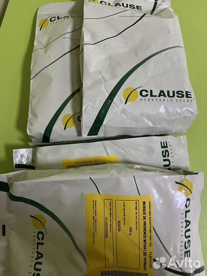 Семена тыквы Мускат де Прованс, оригинал Франция