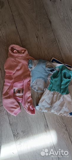 Одежда для собак мелких пород и кошек