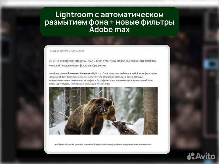 Фотошоп 25.1 с неройсетью, ganerative Fill, лиценз