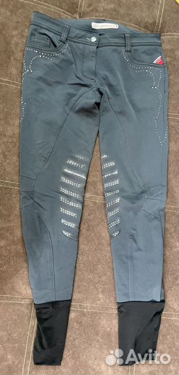 Много бридж для верховой езды и конного спорта