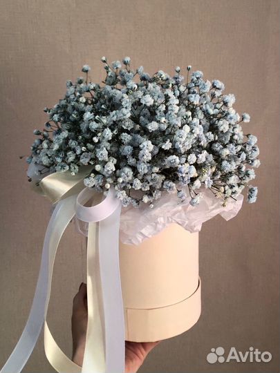 Гипсофила, букет цветы, цветы в коробке