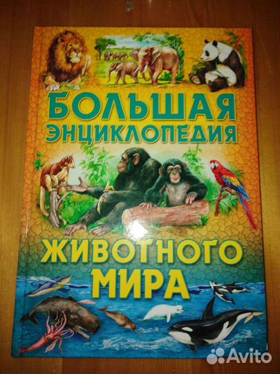 Энциклопедия животных